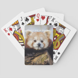 Baralho Bela Panda Vermelha Sente Tanta Falta De Você