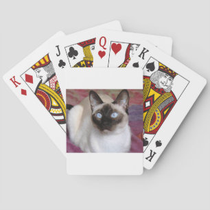 BARALHO BELEZA SIAMESE