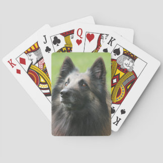 Baralho Belga Tervuren