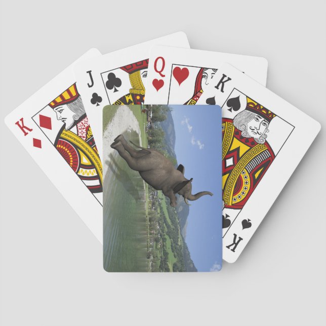 Baralho Belly Flop Elephant (Verso)
