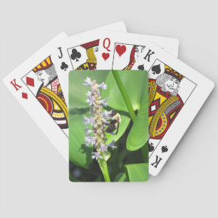 Baralho Belo Deck de Beterraba Tocando Cartões