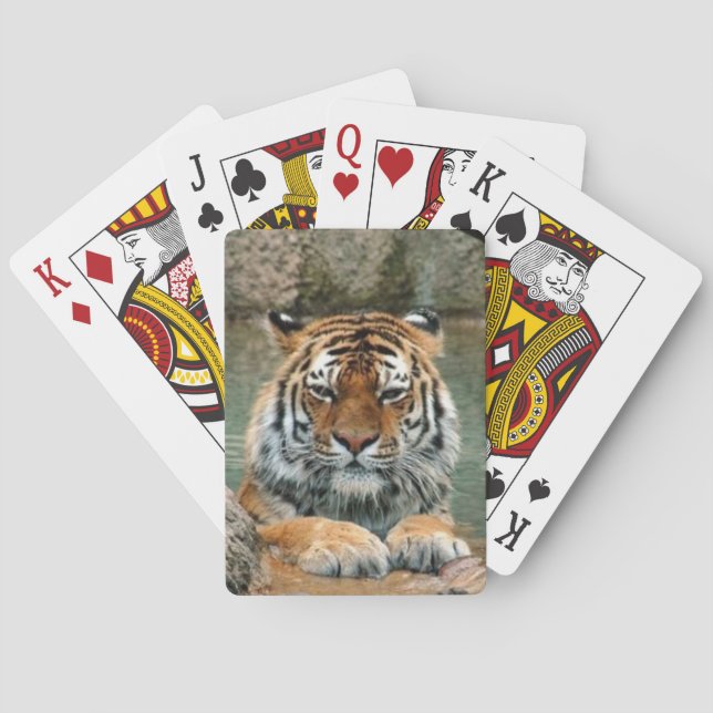 Baralho Belo Deck Tigre de Cartas (Verso)