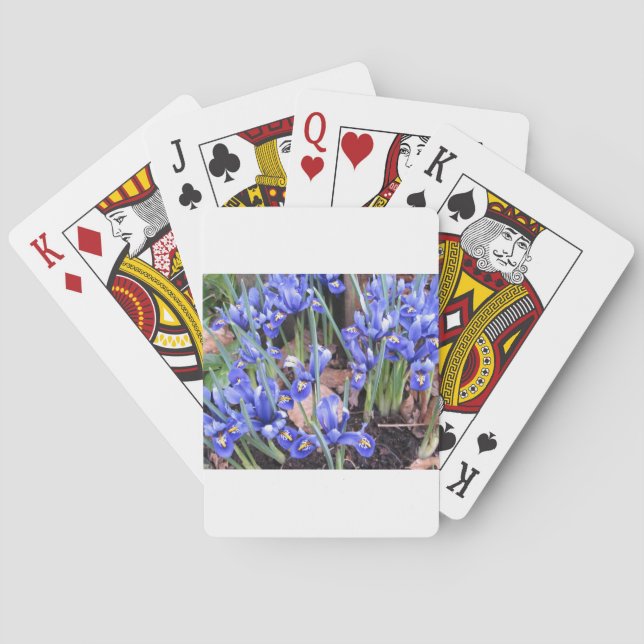 BARALHO BELO IRIS (Verso)