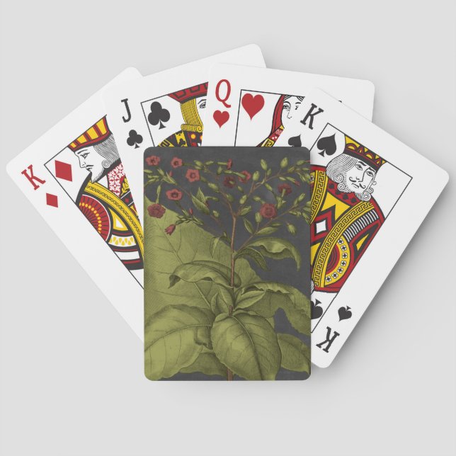 Baralho Besler Dramatique I (Verso)