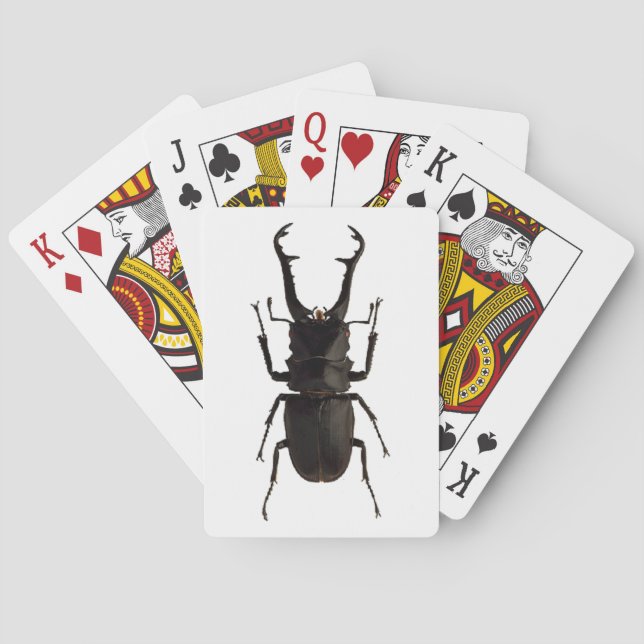 Baralho Besouro de Stag (Verso)