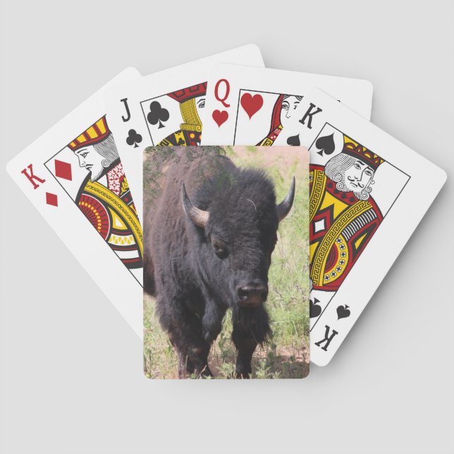 Baralho Bison Close Up (Verso)