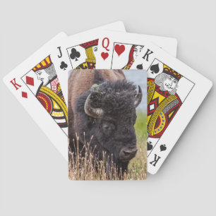 Baralho Bison (também conhecido como Buffalo) Através de