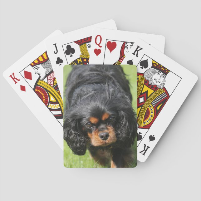 Baralho Black and Tan Cavalier King Charles Spaniel Dog (Verso)