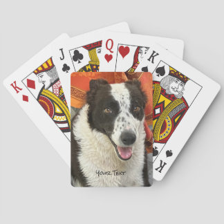 Baralho Black and White Border Collie Playing Cards