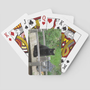 Baralho Black Cat on Bridge Playing Cards