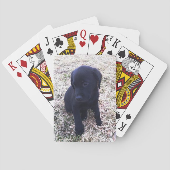 Baralho Black Labrador Retriever Puppy (Verso)