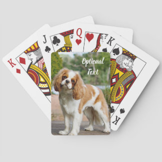 Baralho Blenheim Cavalier King Charles Spaniel Dog