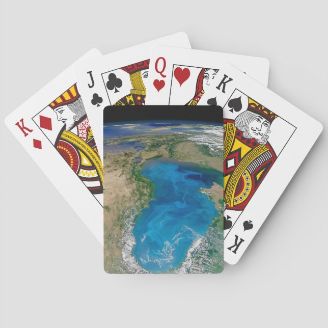 Baralho Bloom De Fitoplâncton Azul No Mar Negro (Verso)