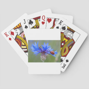Baralho Blue Blossoms Ladybug Peace Love Destiny Art Vine