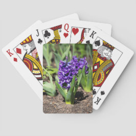 Baralho Blue Geocinth em primavera