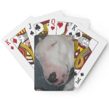 Boa Noite, Durma Bem, Cachorro Bobo