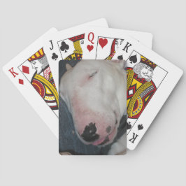 Baralho Boa Noite, Durma Bem, Cachorro Bobo