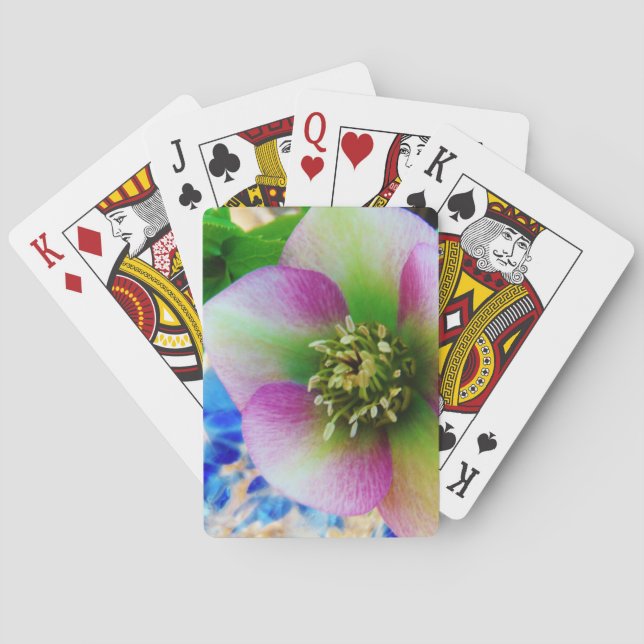 Baralho Bola de vidro azul Rosa de Lenten rosa (Verso)