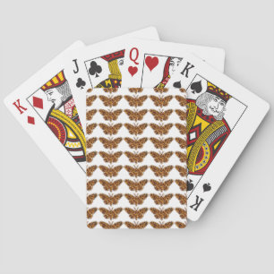 Baralho Bombyx Mori Silk Moth Life Cycle Silhoule