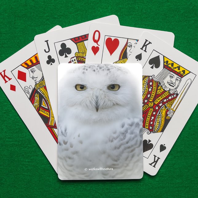 Baralho Bonita, Dreamy e Serene Snowy Owl (Snowy Owl Playing Cards on Green Felt Playing Surface Cover Photo)