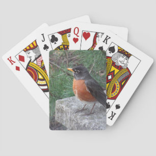 Baralho Bonito Robin In Garden