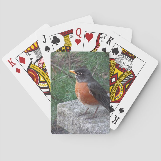 Baralho Bonito Robin In Garden (Verso)