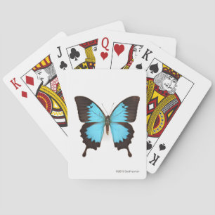 Baralho Borboleta de Ulysses