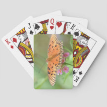 Borboleta em uma flor encontrada em um parque loca