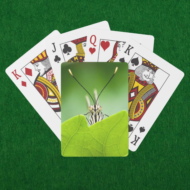 Baralho Borboleta Engraçada Pega Sobre Folha (A curious butterfly peeks over a vibrant green leaf on these nature inspired playing cards. )
