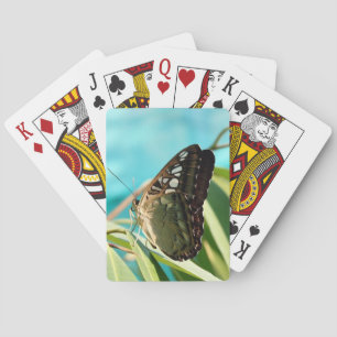 Baralho Borboleta Marrom Asas Fechadas