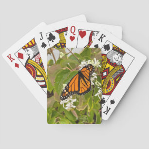 Baralho Borboleta Monarca