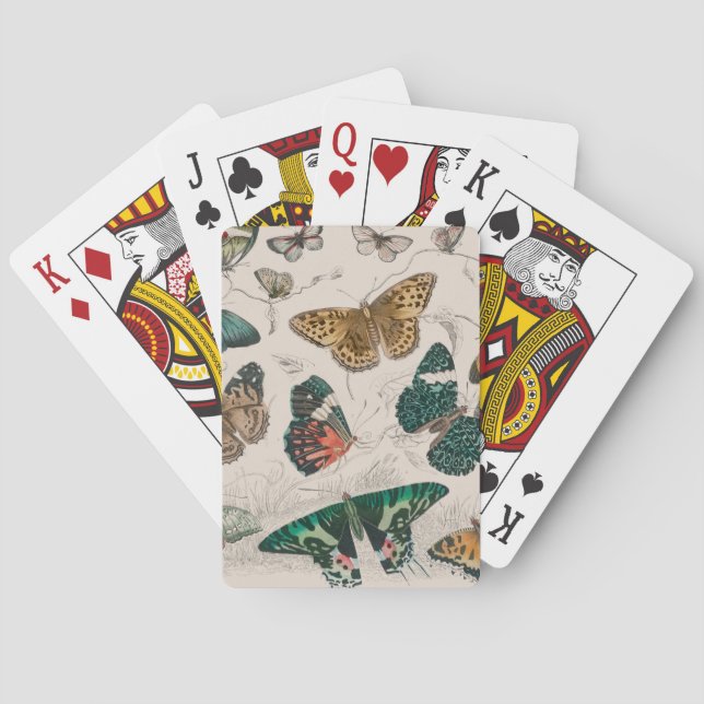 Baralho Borboletas Antigas de Coleção de Borboletas (Verso)