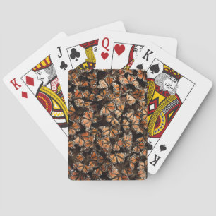 Baralho Borboletas de monarca