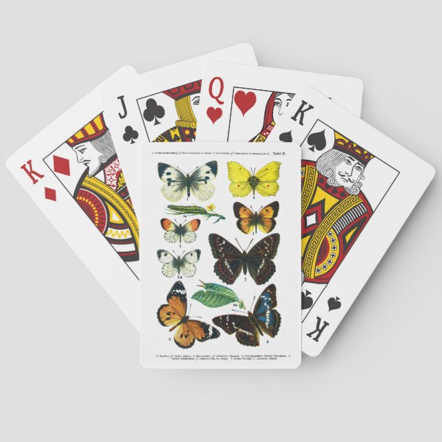 Baralho Borboletas Europeias II (Verso)