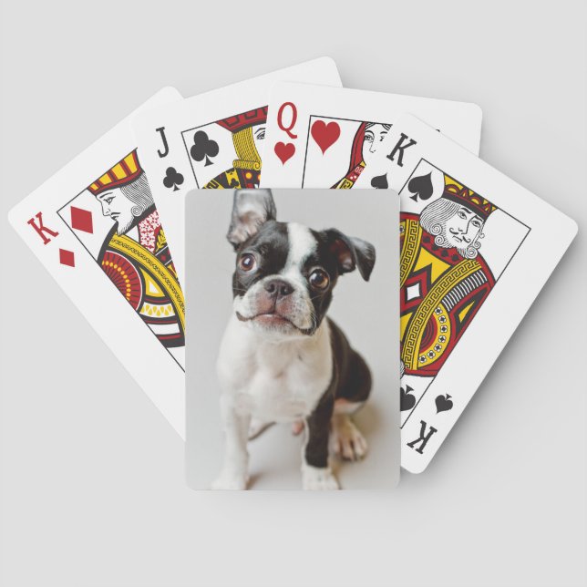 Baralho Boston Terrier (Verso)