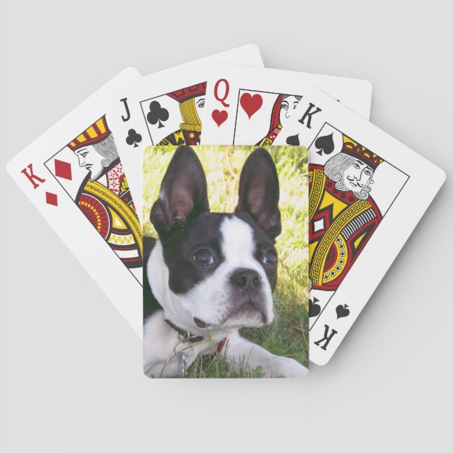 Baralho Boston Terrier Pup Deck de Cartões (Verso)