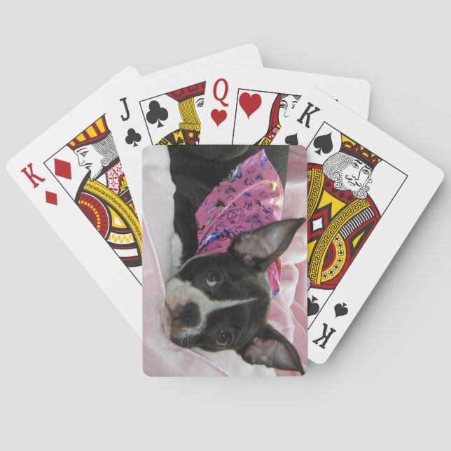 Baralho Boston Terrier Puppy Dog (Verso)