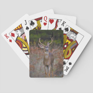 BARALHO BUCK