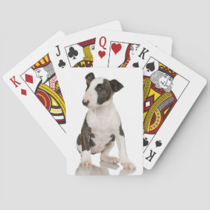 Baralho Bull terrier