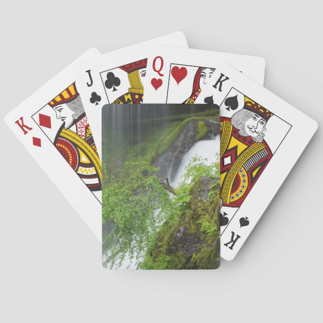 Baralho Cachoeira Verde Pitoresca (Verso)