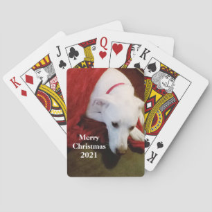 Baralho Cachorro Branco e Bonito Neve Vermelho Natal