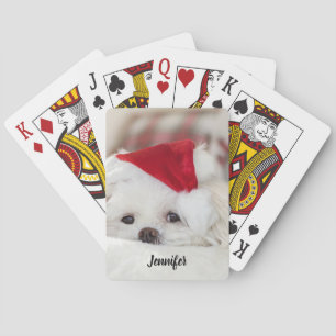 Baralho Cachorro Branco giro em chapéu vermelho de Natal