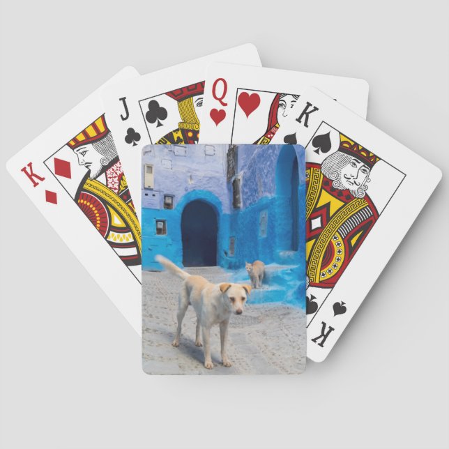 Baralho Cachorro na Cidade Azul (Verso)