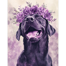Cachorro Negro-Bonito Labrador Retriever Cachorro 