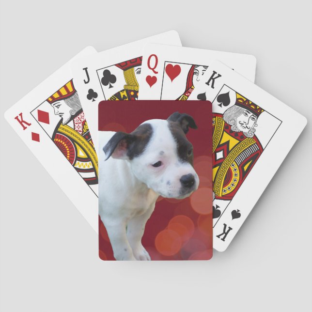 Baralho Cachorro Preto E Branco Esfofado, (Verso)