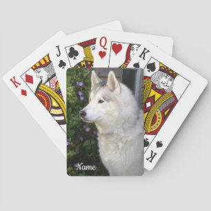 Baralho Cachorro-Pupppy Siberian Husky
