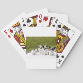 Baralho cachorros-453532.jpg