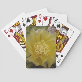 Baralho Cacto Amarelo em Flor