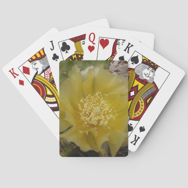 Baralho Cacto Amarelo em Flor (Verso)