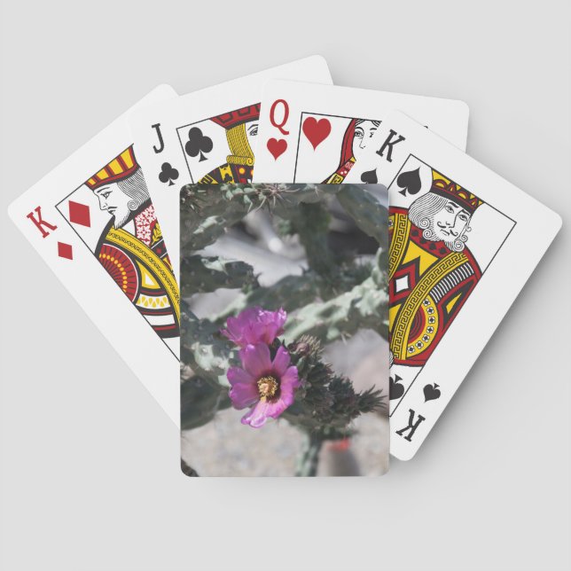 Baralho Cacto Challa em flor (Verso)